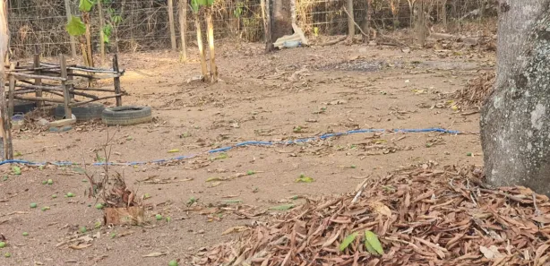 Fazenda / Sítio / Chácara com 2 Quartos à venda, 10000m² no , Brasília