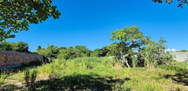 Terreno / Lote / Condomínio à venda, 2000m² no Jauá (Abrantes), Camaçari