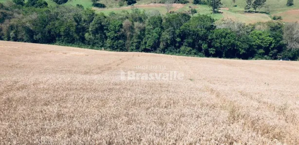 Fazenda / Sítio / Chácara à venda, 20000m² no , Catanduvas