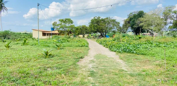 Fazenda / Sítio / Chácara com 5 Quartos à venda, 20m² no Centro, Conceição da Feira