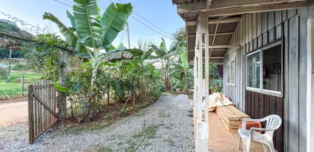 Fazenda / Sítio / Chácara com 3 Quartos à venda, 3000m² no , Antonina