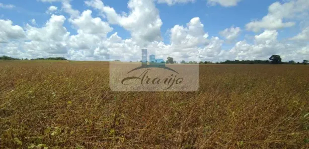 Fazenda / Sítio / Chácara com 1 Quarto à venda, 211m² no , Formoso do Araguaia