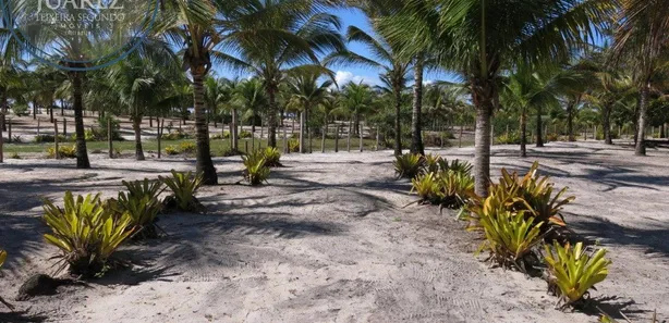 Terreno / Lote / Condomínio à venda, 28648m² no Canavieiras, Canavieiras
