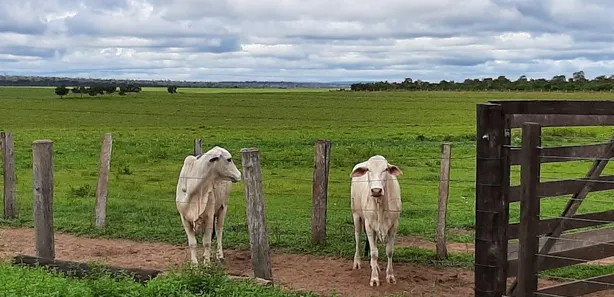Fazenda / Sítio / Chácara à venda, 3584m² no , Presidente Kennedy