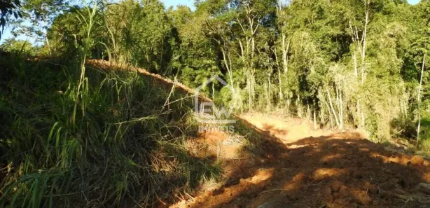 Terreno / Lote / Condomínio com 1 Quarto à venda, 26487m² no , Massaranduba