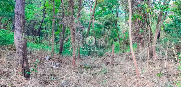 Terreno / Lote / Condomínio à venda, 1301m² no Mirante da Mata, Nova Lima