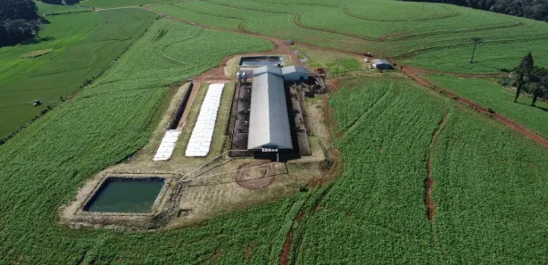 com 1 Quarto à venda, 65m² no Guaraniaçu, Guaraniaçu