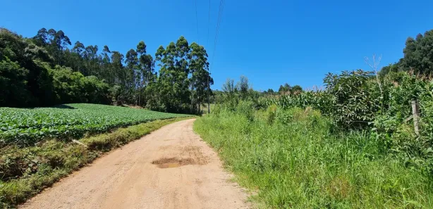 Terreno / Lote / Condomínio à venda, 24200m² no Centro, Campo Magro