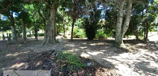 Fazenda / Sítio / Chácara com 4 Quartos à venda, 100m² no Horizonte, Paty do Alferes