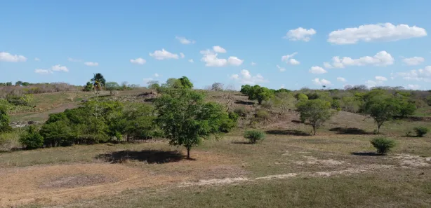 Fazenda / Sítio / Chácara à venda, 170m² no , Passira