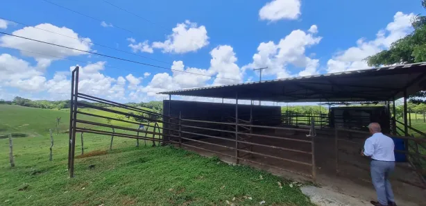 Fazenda / Sítio / Chácara à venda, 304920m² no Centro, Mata de São João