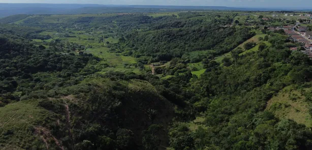 Fazenda / Sítio / Chácara com 4 Quartos à venda, 60000m² no , Bananeiras