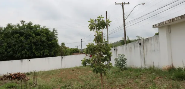 Casa de Condomínio com 6 Quartos à venda, 230m² no Setor de Mansões do Lago Norte, Brasília
