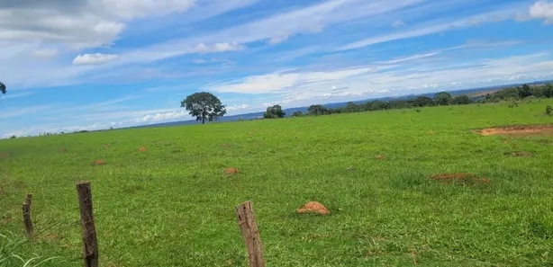 Fazenda / Sítio / Chácara com 5 Quartos à venda, 53m² no Área Rural de Santo Antônio do Descoberto, Santo Antônio do Descoberto