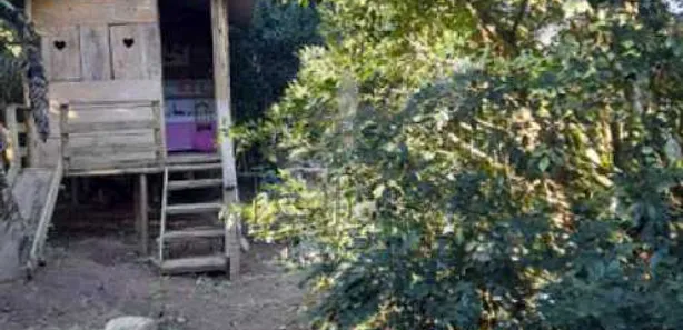 Fazenda / Sítio / Chácara com 5 Quartos à venda, 1350m² no Praia Rasa, Armação dos Búzios