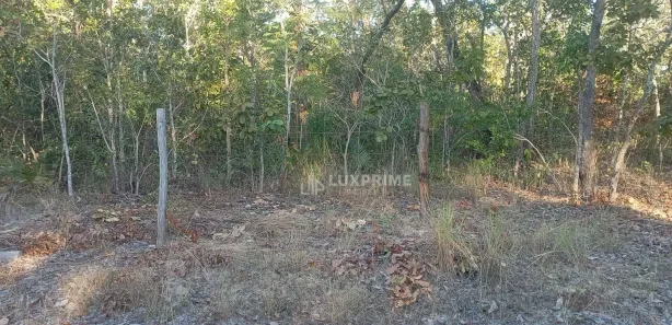 Fazenda / Sítio / Chácara à venda, 1190278m² no Jardim Brasilia I, Ponte Alta do Tocantins