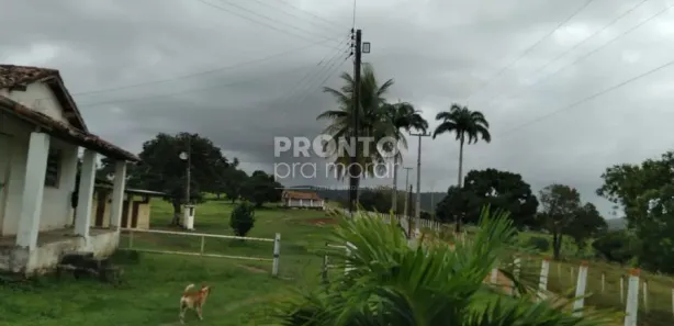 Fazenda / Sítio / Chácara com 4 Quartos à venda, 60000m² no Matriz, Vitória de Santo Antão