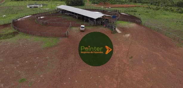 Fazenda / Sítio / Chácara com 3 Quartos à venda, 49029200m² no , Lagoa da Confusão