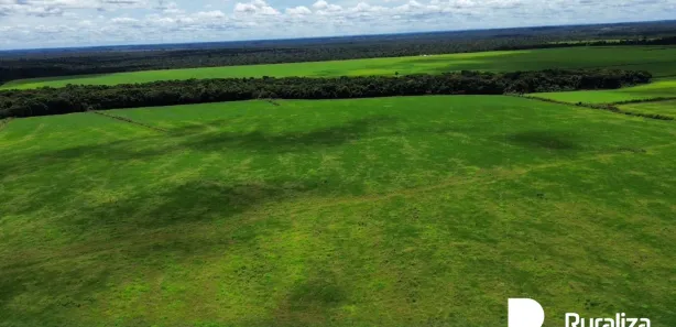Fazenda / Sítio / Chácara à venda, 2100m² no , Pium