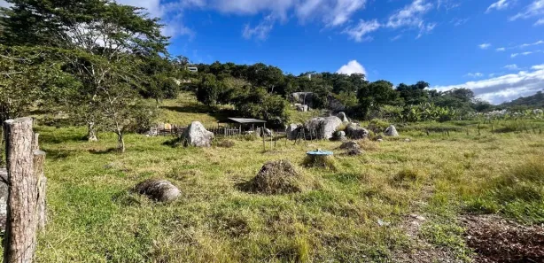 Fazenda / Sítio / Chácara com 6 Quartos à venda, 42000m² no Serra Negra, Bezerros
