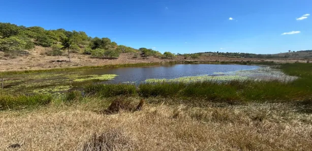 Fazenda / Sítio / Chácara com 2 Quartos à venda, 90000m² no , Sairé