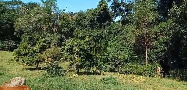 Fazenda / Sítio / Chácara com 3 Quartos à venda, 160m² no , Bela Vista do Paraíso