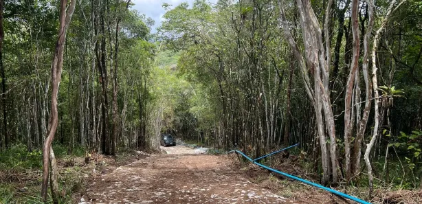 Terreno / Lote / Condomínio à venda, 100m² no , Pacoti