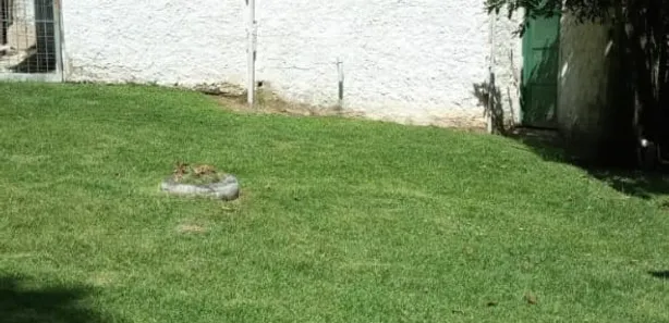 Fazenda / Sítio / Chácara com 2 Quartos à venda, 55m² no Campo Grande, Rio de Janeiro
