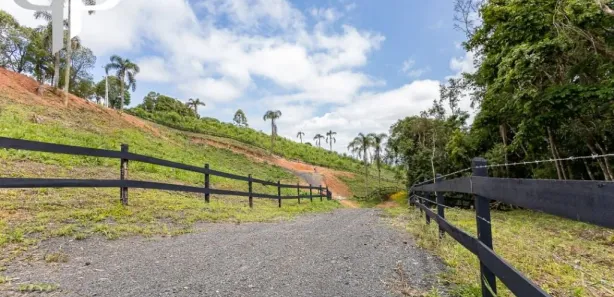 Fazenda / Sítio / Chácara com 1 Quarto à venda, 20000m² no Itaboa, Campo Largo