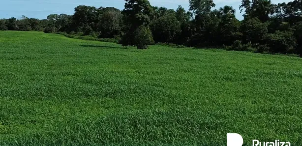 Fazenda / Sítio / Chácara à venda, 3547m² no , Guaraí