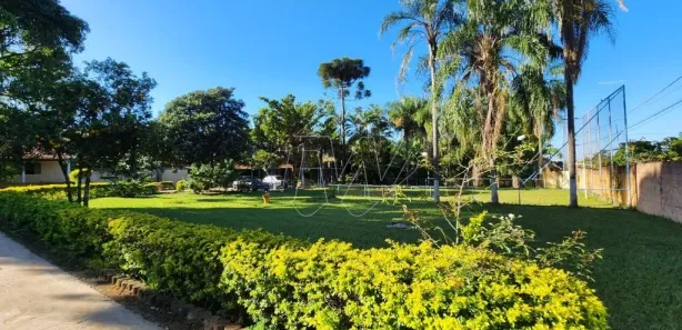 Fazenda / Sítio / Chácara com 2 Quartos à venda, 244m² no Chácara Flora Araraquara, Araraquara