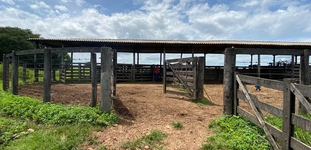 Fazenda / Sítio / Chácara à venda no , Guaraí