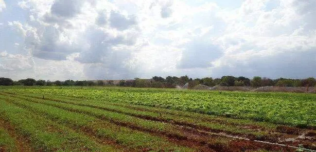 Terreno / Lote / Condomínio à venda, 19200m² no Ponte Alta Norte, Brasília