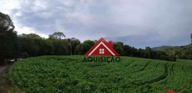 Fazenda / Sítio / Chácara com 1 Quarto à venda, 20000m² no Felpudo, Campo Largo
