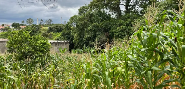 Terreno / Lote / Condomínio à venda, 1050m² no Bosque dos Pinheiros, Capivari