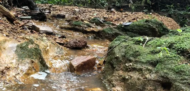 Fazenda / Sítio / Chácara com 3 Quartos à venda, 14000m² no , Brasília