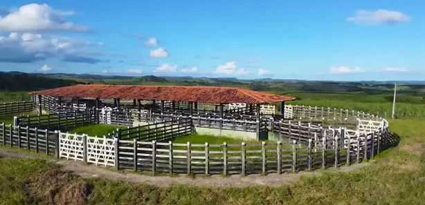 Fazenda / Sítio / Chácara à venda, 100000m² no , Quipapá