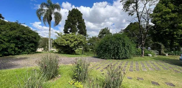 Fazenda / Sítio / Chácara com 4 Quartos à venda, 2000m² no Paloma, Colombo
