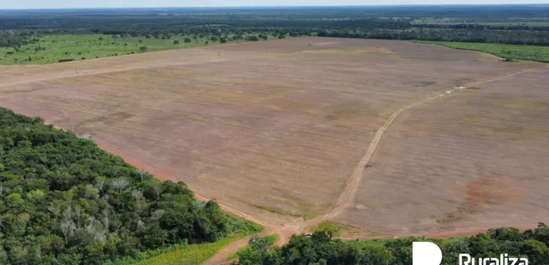 Fazenda / Sítio / Chácara à venda, 387m² no , Cristalândia