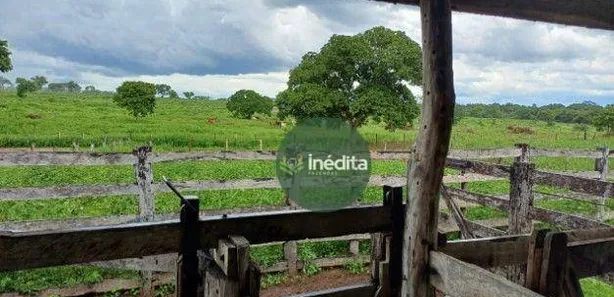 Fazenda / Sítio / Chácara à venda, 11625075m² no , Paranã