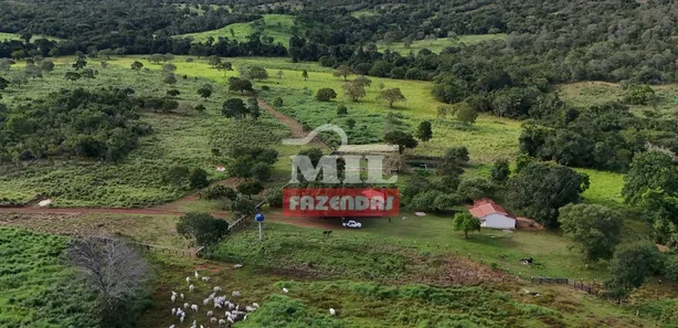 Fazenda / Sítio / Chácara com 3 Quartos à venda, 500m² no Setor Central, Gurupi