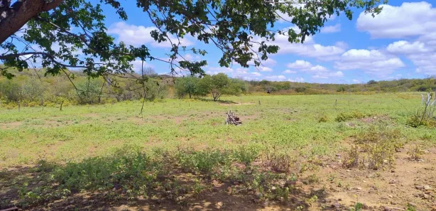 Fazenda / Sítio / Chácara com 2 Quartos à venda, 114m² no Gercino Coelho, Petrolina