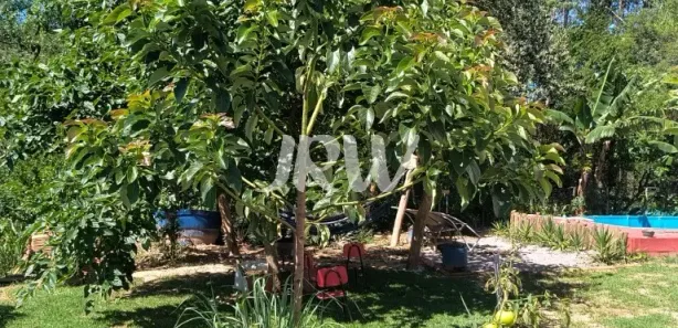 Fazenda / Sítio / Chácara com 5 Quartos à venda, 1080m² no Buru, Salto