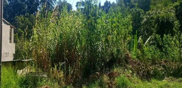 Terreno / Lote / Condomínio à venda, 900m² no Barreiro, Mairiporã