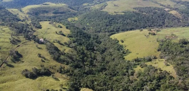 com 1 Quarto à venda, 1080094m² no , Guaraniaçu