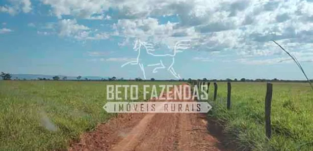 Fazenda / Sítio / Chácara à venda, 48400000m² no Centro, Formosa