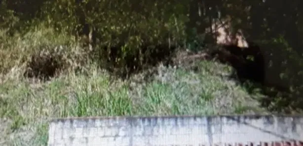 Terreno / Lote / Condomínio à venda, 447m² no Parque Santa Mônica, São Carlos