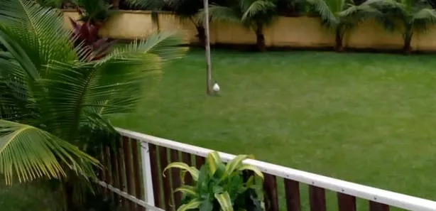 Fazenda / Sítio / Chácara com 5 Quartos à venda, 5000m² no Ponte Alta, Barra Mansa