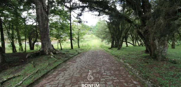 Fazenda / Sítio / Chácara à venda, 86000m² no Cachoeira de São José, São José dos Pinhais