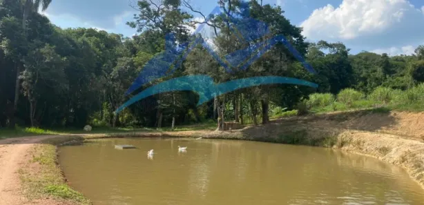 Fazenda / Sítio / Chácara com 3 Quartos à venda, 26000m² no Sebandilha, Mairinque